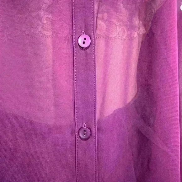 Sofia by Sofia Vergare Women’s Sheer Blouse - Picture 4 of 8